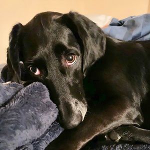 Meet your Posher, Christi